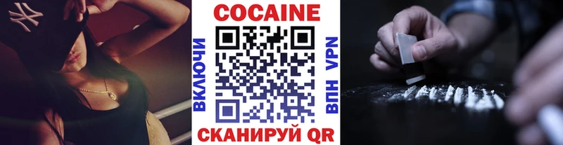 COCAIN FishScale  Купить закладки  Махачкала 