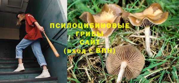 амфетамин Киреевск