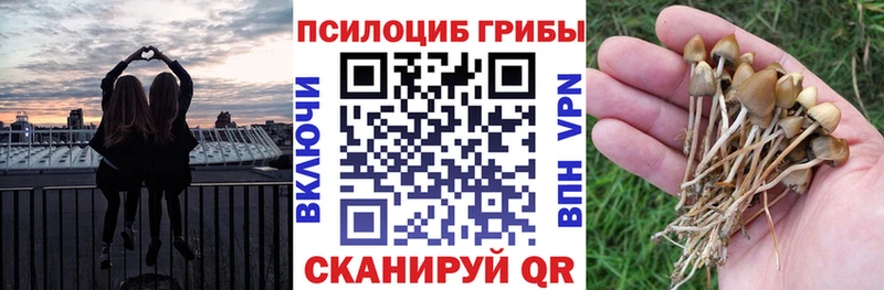 Купить где  Махачкала  Псилоцибиновые грибы ЛСД 