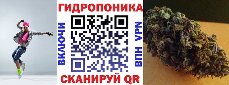 Марихуана THC 21%  Купить закладки  Махачкала 